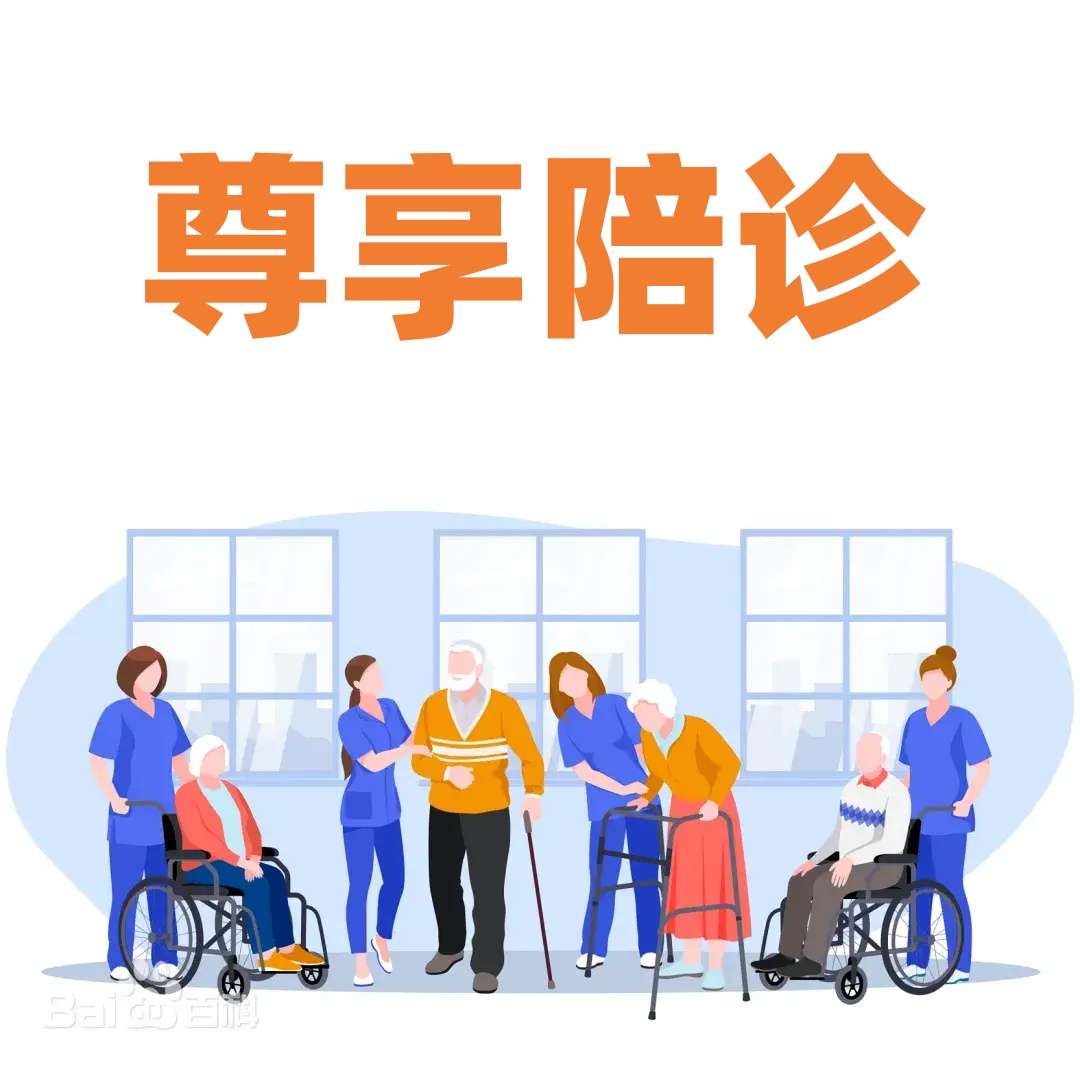 尊享陪诊服务内容